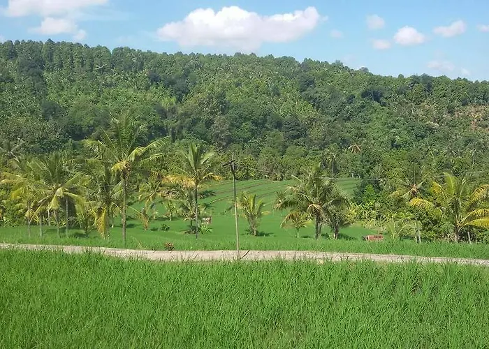 Duwur Kukusan 2*
